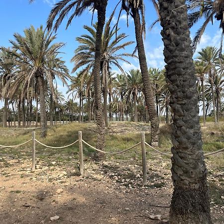 Despertar En Torrevieja Villa Eksteriør bilde