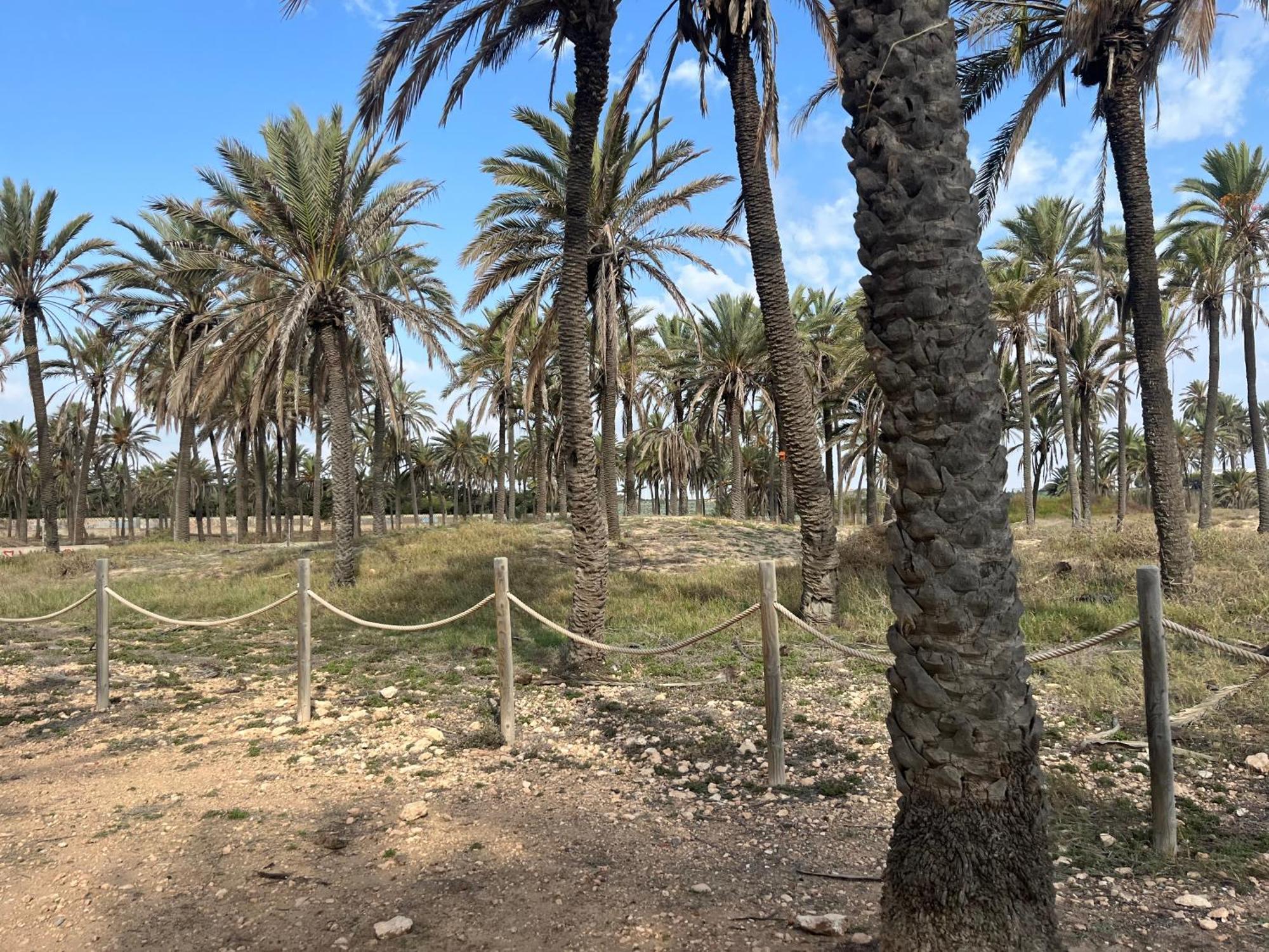 Despertar En Torrevieja Villa Eksteriør bilde